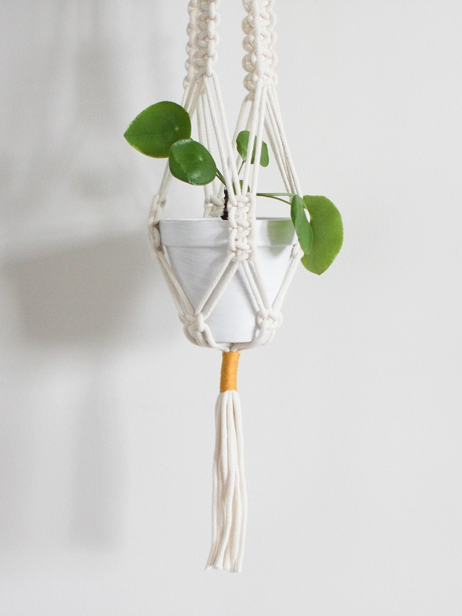 Close up of orange and yellow plant hanger.