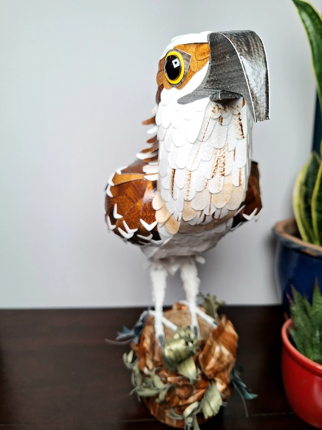 Osprey perched on a tree stump