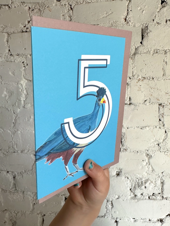bright blue card featuring a big white number 5 and a turaco bird illustration with a purple envelope