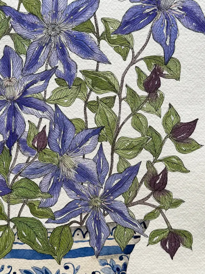 Clematis ‘Arabella’ in a delft vessel