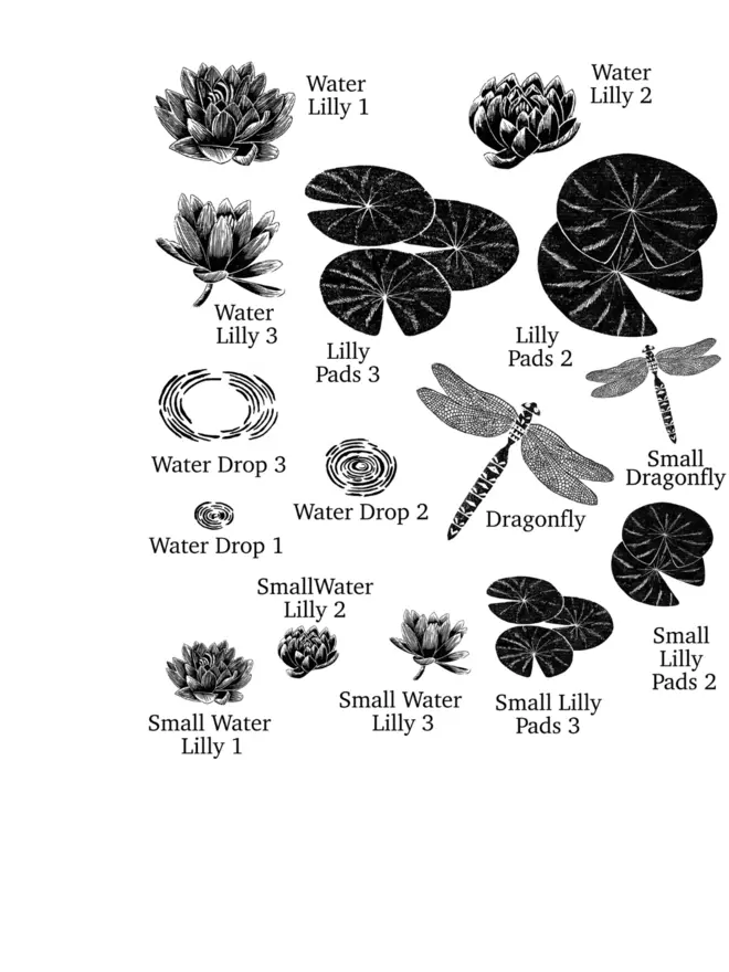 Water Lily And Dragonfly Rubber Stamps