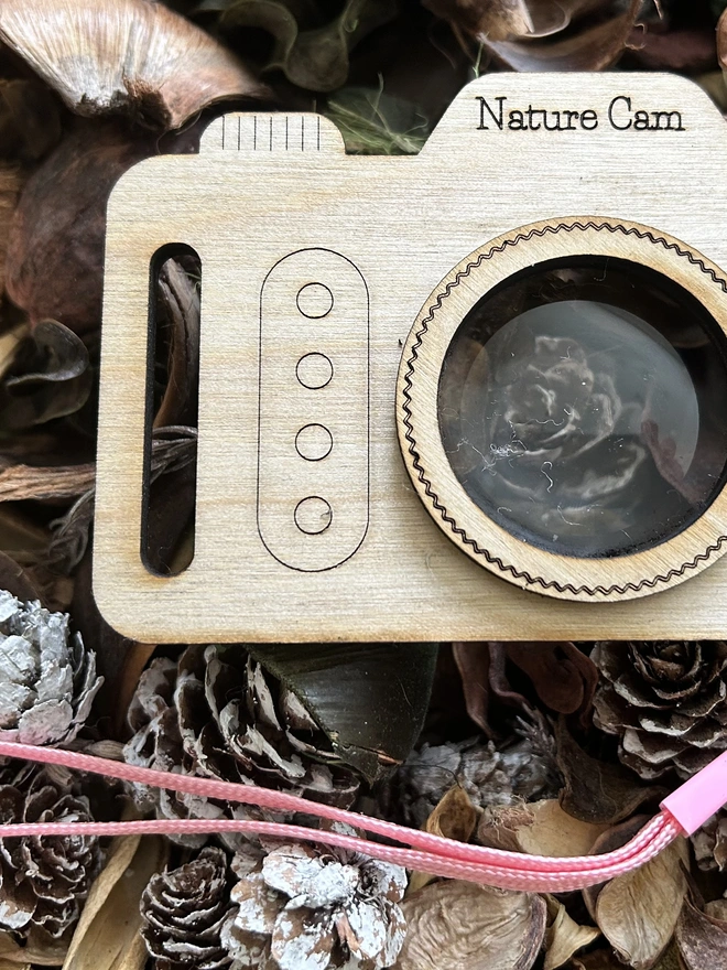 Front of nature camera on a forest floor