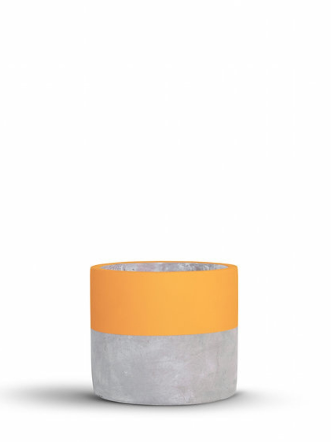 lucky dip concrete plant pot. a grey concrete plant pot with a bright orange stripe around the top half.