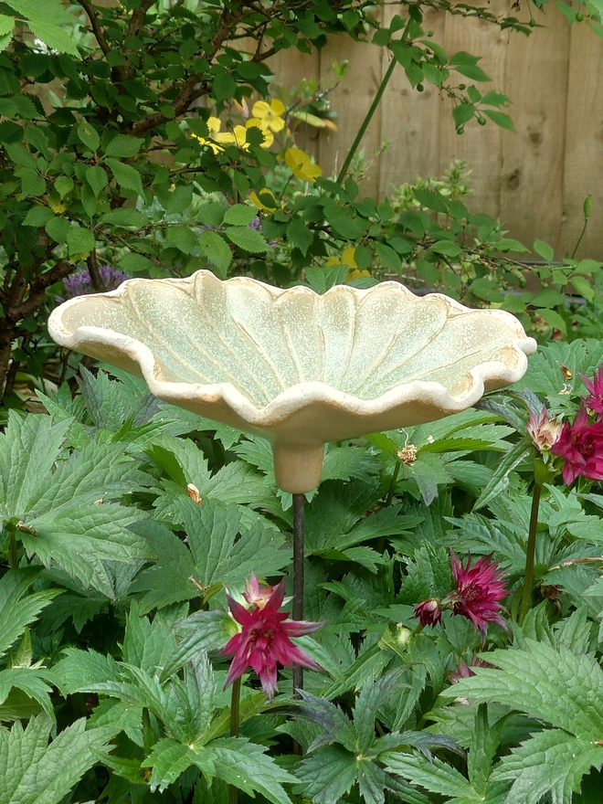 Daisy flower bird bath on brass rod