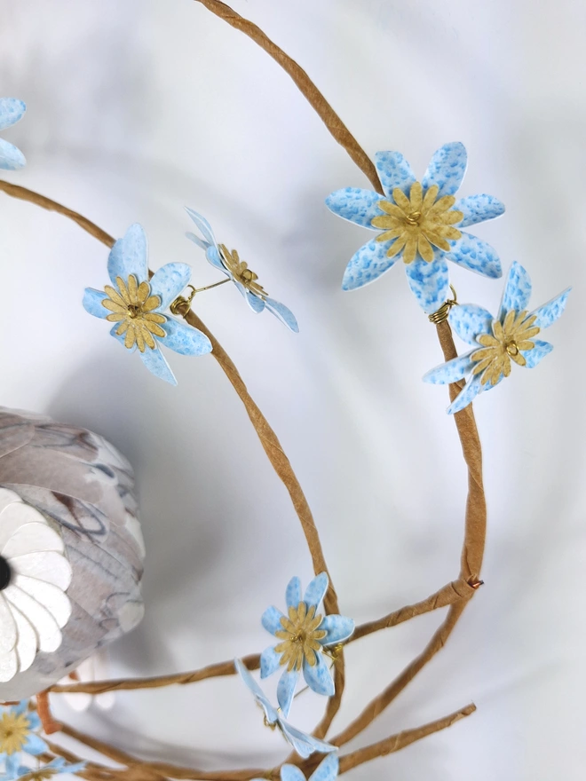 close up of baby blue blossom flowers