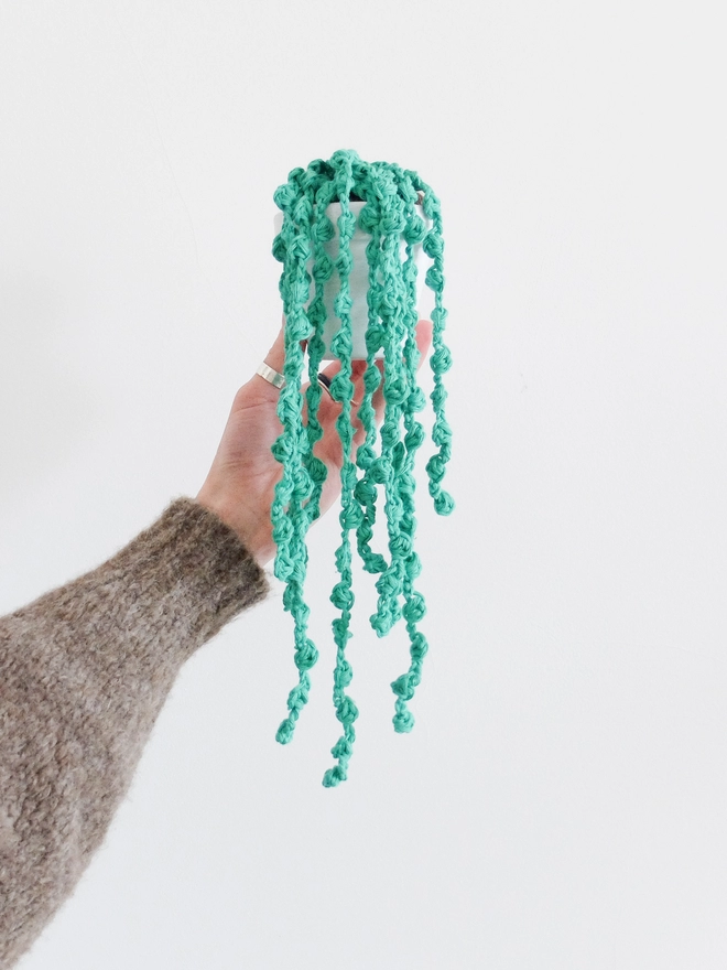 One crocheted string of pearls plant