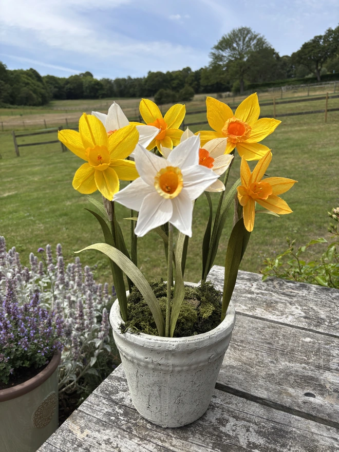 bouquet of paper daffodils