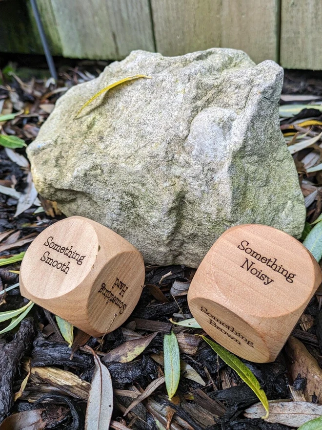 Large beech wood nature scavenger hunt dice engraved with prompts such as ‘Something Smooth’ and ‘Something Black,’ shown outdoors on leaf litter beside a stone.
