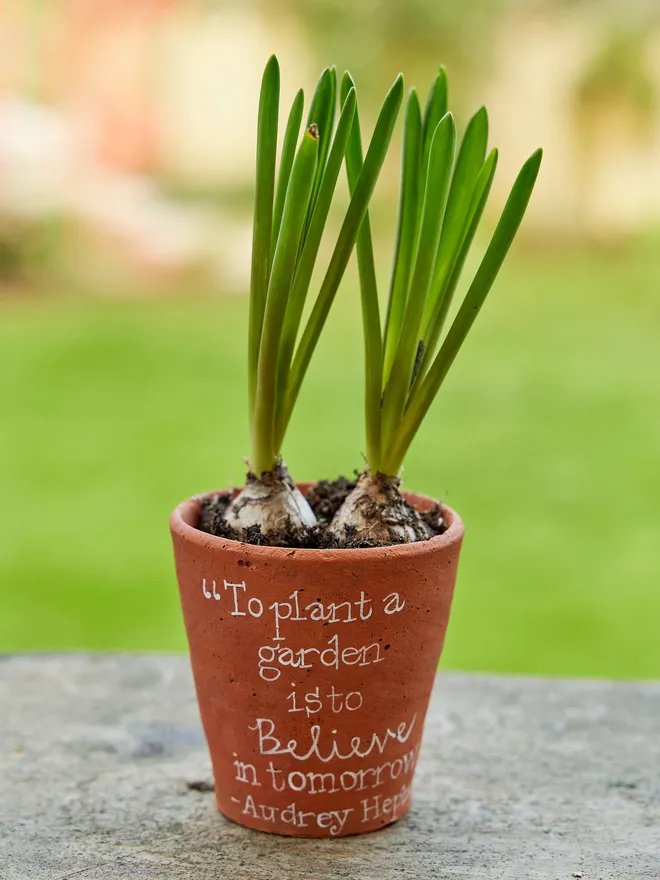 To plant a garden is to believe in tomorrow quote terracotta pot