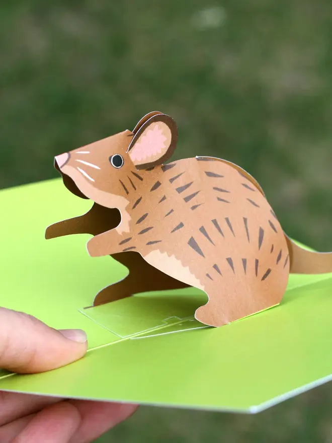 3d mouse pop up card