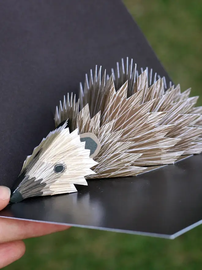 3d hedgehog pop up card