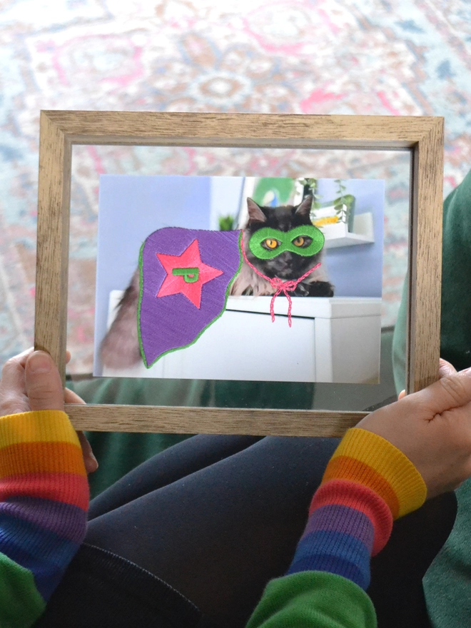Pet photograph with hand embroidered mask, cape and initial held in double glass frame