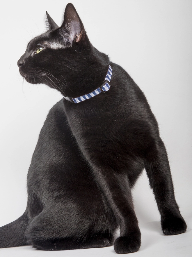 Cat Collar In Blue Gingham