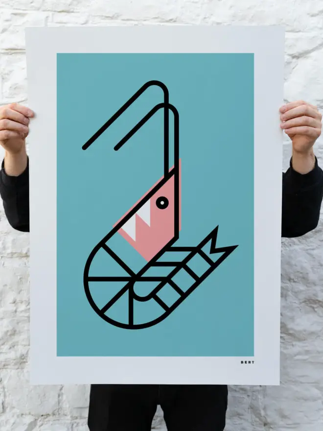 Shrimp on Blue line art print by Devon artist Bert Fowler
