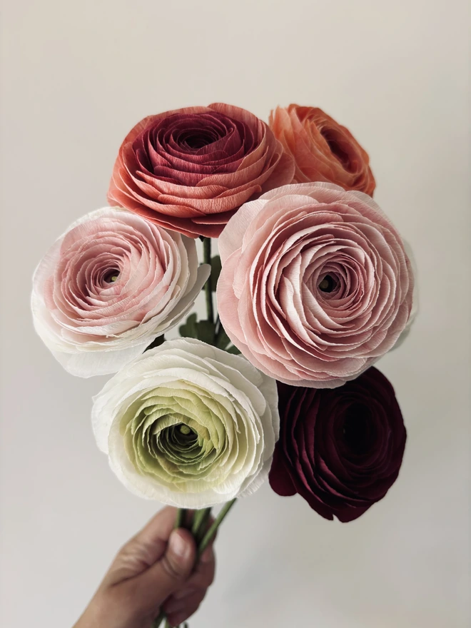 ranunculus bunch of paper flowers