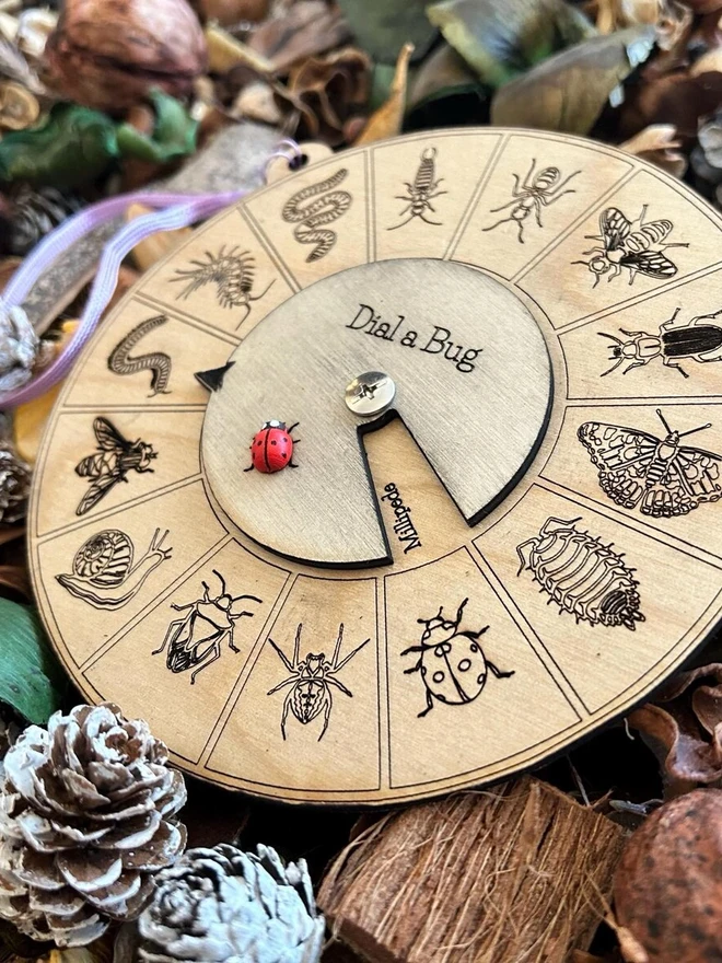 Round wooden insect identification dial toy engraved with detailed bug illustrations, featuring a rotating pointer labeled ‘Dial a Bug’ and a small red ladybird marker, displayed on forest floor materials.