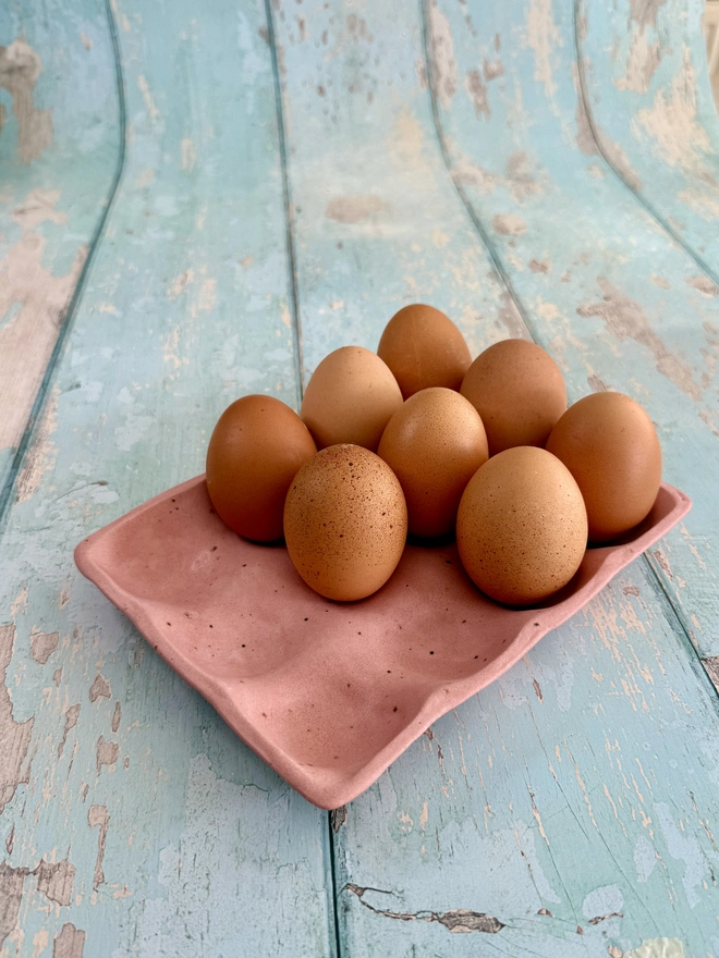 Pink speckled egg tray kitchen storage