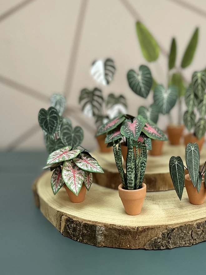 A miniature replica Sanseveria Snake Plant paper plant ornament in a terracotta pot sat on a wooden log slice with several other paper plants around it
