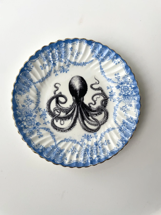 a vintage plate with ornate blue border, and in the centre is the vintage victorian illustration of an octopus