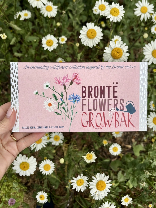 Bronte flowers Growbar held against a background of oxeye daisies.