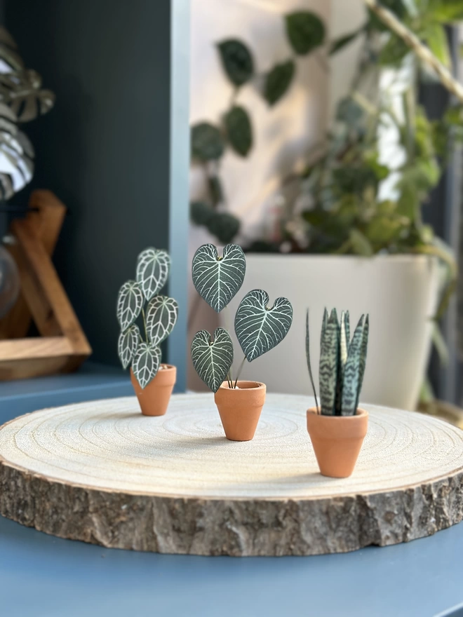 3 miniature paper plant ornaments including a miniature anthurium Regale in the centre, sat on a log slice on a blue desk with real plants in the background