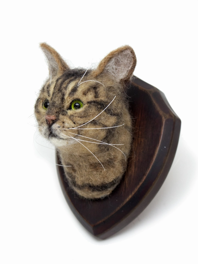 A handmade needle felted tabby cat head on a wooden shield. Made by artist Laura Cronin, aka Bumble & Earwig