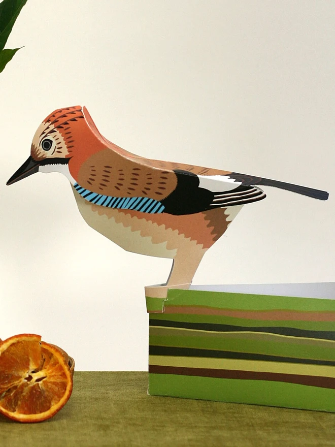 3d jay pop out card