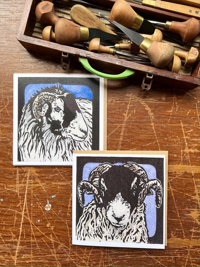 two swaledale sheep cards 