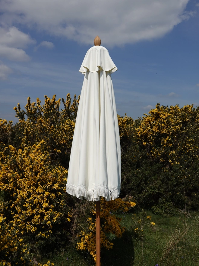 Double Cream Lampshade Parasol. A white parasol.