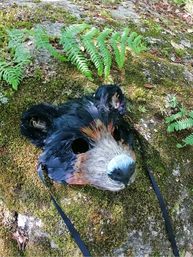 A luxury black bear masquerade mask sitting flat ontop of a moss covered rock