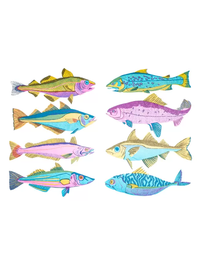 White cut-out shot: 8 British fish in shades of blue, pink and yellow