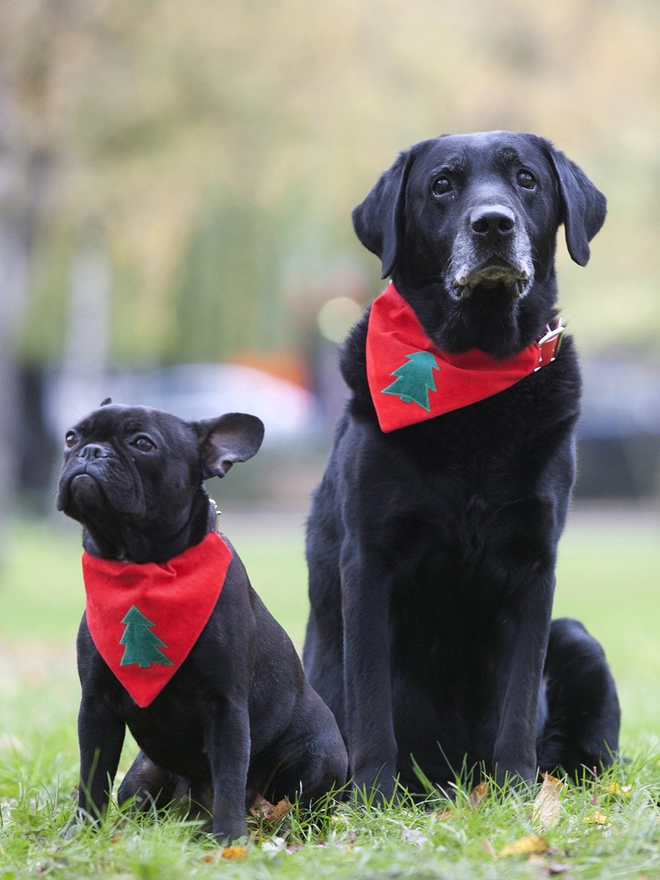 Classic Christmas Tree Slip on Bandana Frenchie and Labrador