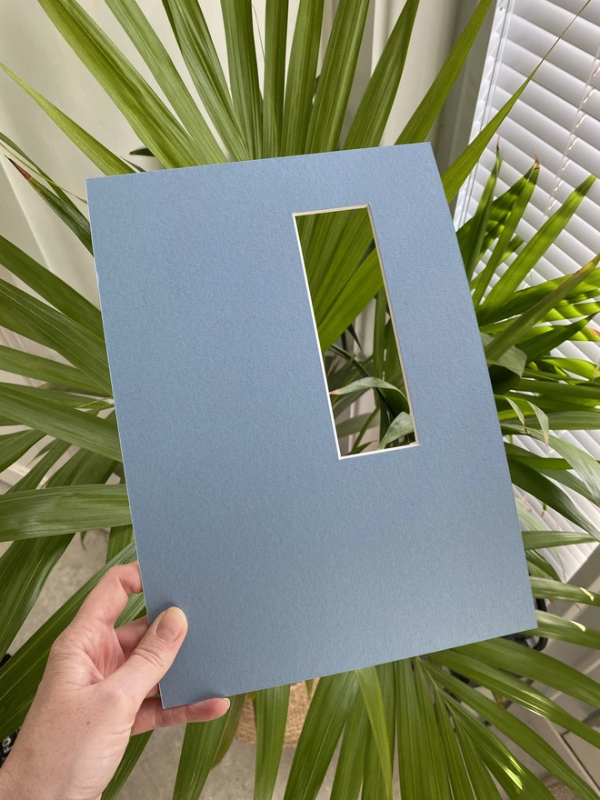 LNN's blue photo strip / photo booth mount