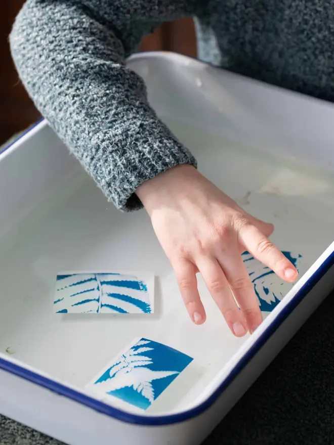 Mini Cyanotype Paper To Create Beautiful Prints With Sunlight