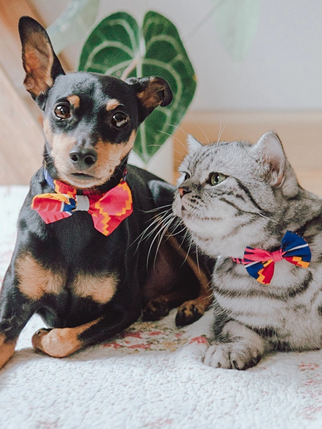 Hiro + Wolf designer dog bow tie