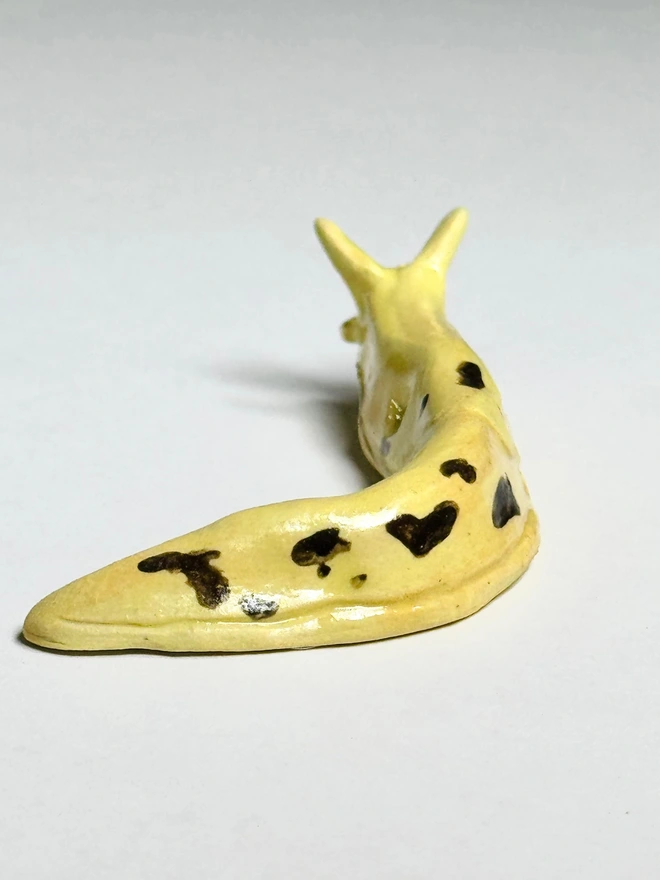 Banana Slug IIII