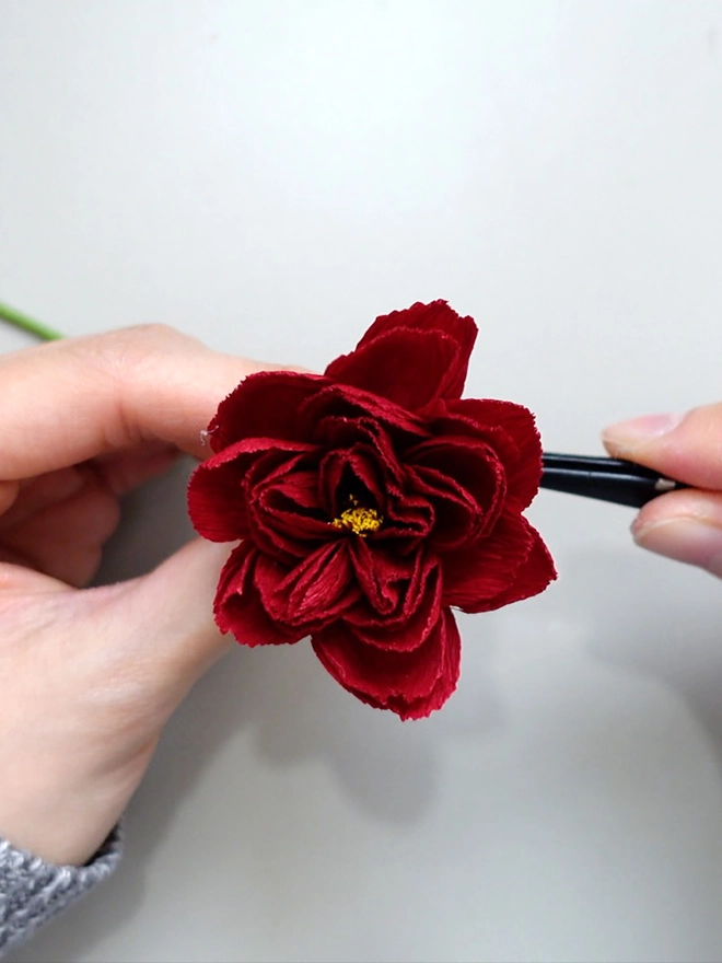 Crepe Paper Falstaff Rose DIY Kit