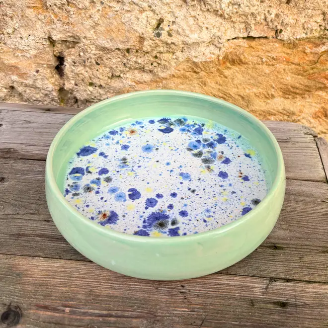 Shoreline Pasta Bowl, a colourful bowl placed on a wooden surface against a brick backdrop. 