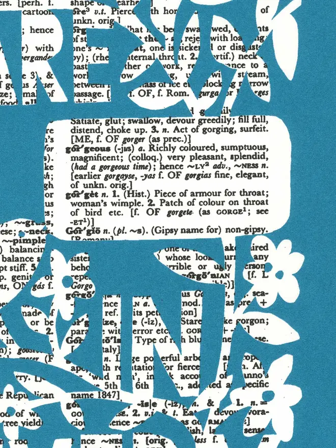 Close up image of a 'You are so in every way Gorgeous' screenprint on a dictionary page