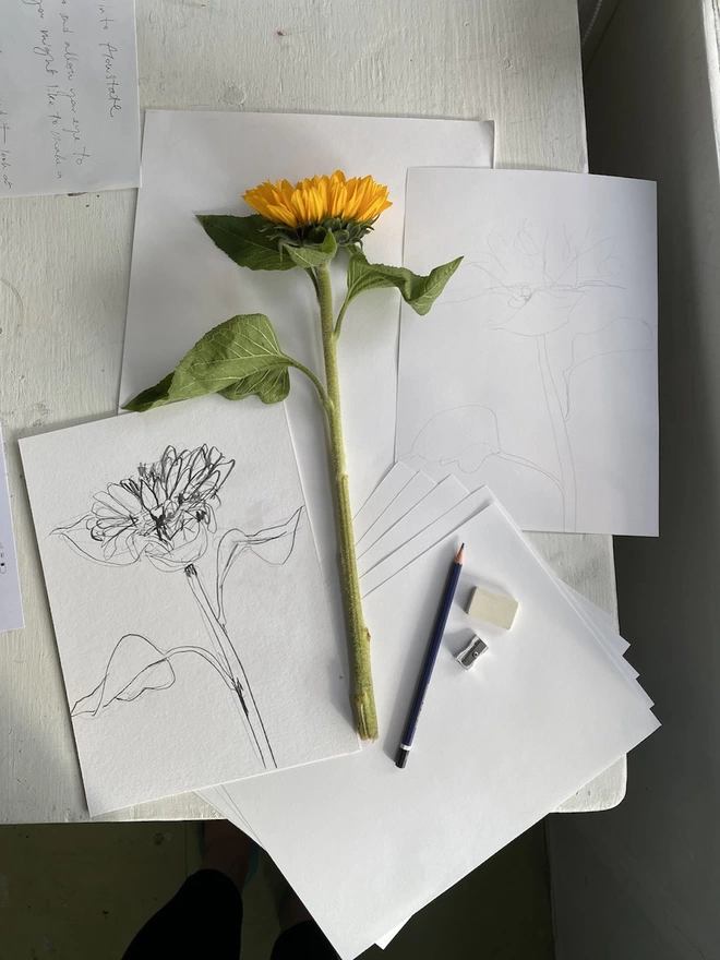 Sam's Sunflower Home Drawing Kit