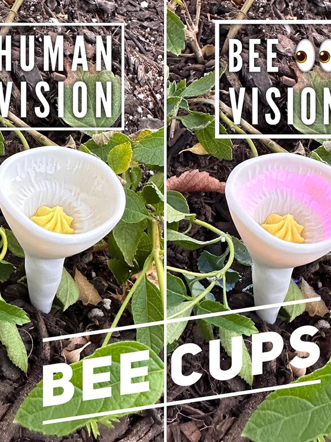 Bee Cup For Thirsty Pollinators Watering Stations 