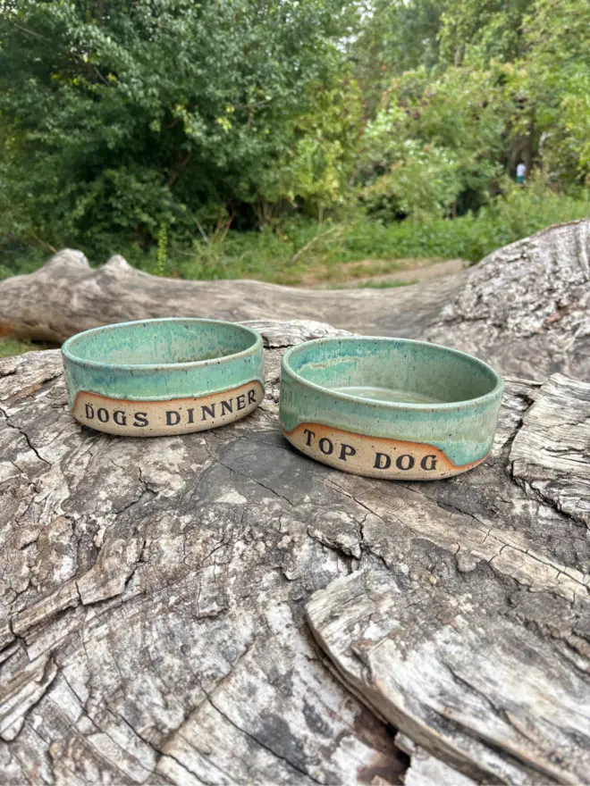 Top Dog / Dog's Dinner Stoneware Pet Bowl