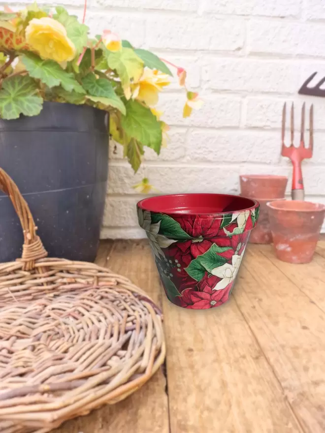 Poinsettia Design Plant Pot seen on a wooden chest.