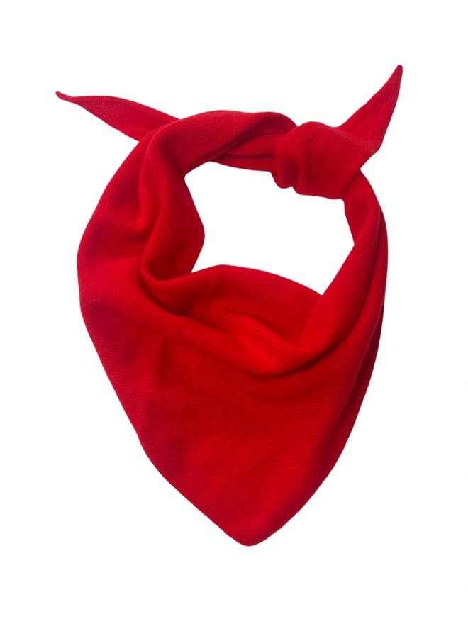 Red Triangle Neckerchief on White Background