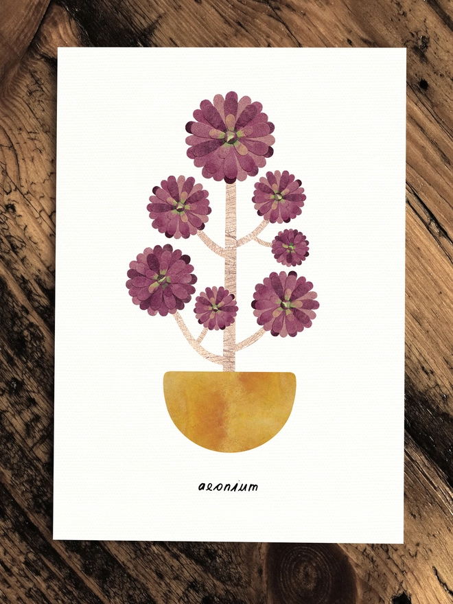 Aeonium Greeting Card with House Plant Care Tips by Lianne Harrison of Paperwhale Cards