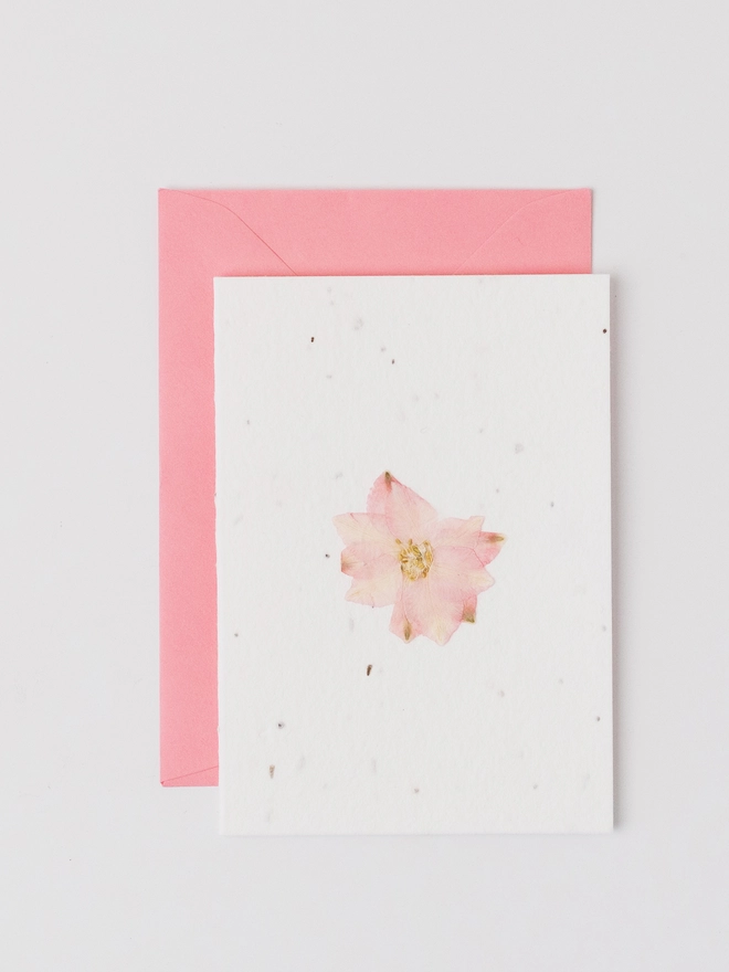 Real Pressed Flower Notecard, Pink