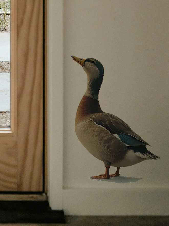 duck wall sticker looking uo at a door