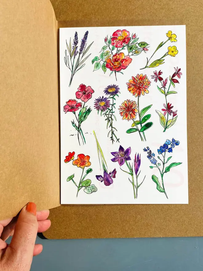 Nature Botanical Temporary Tattoos,  a brown kraft paper booklet featuring various colourful botanical illustrations. 