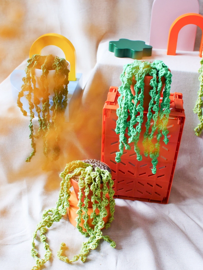 crochet string of pearls plant