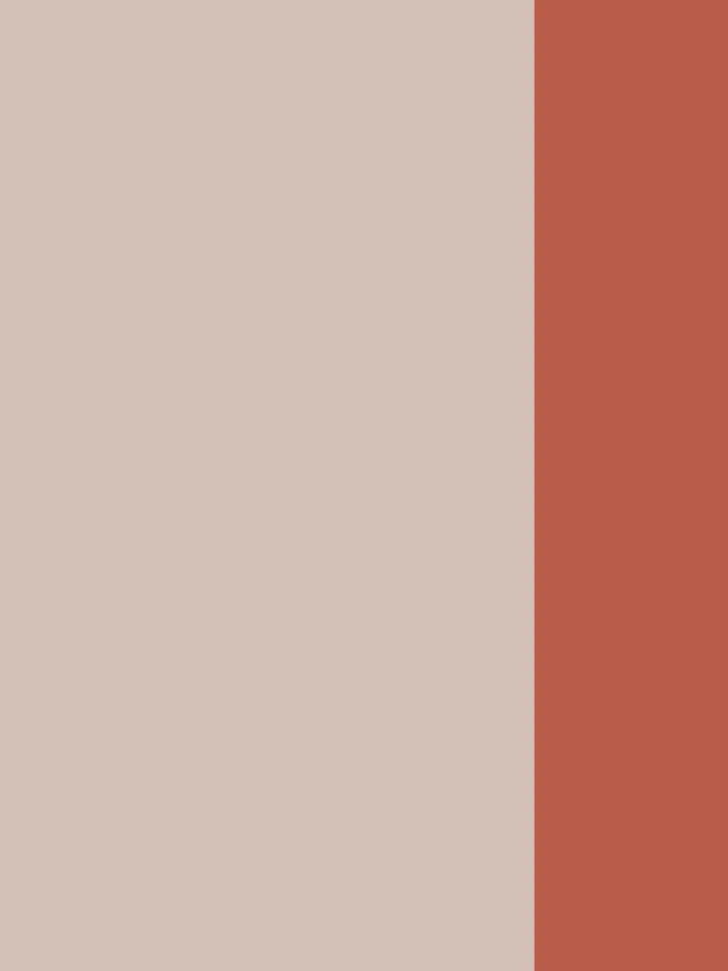 Pale Pink/Coral Border
